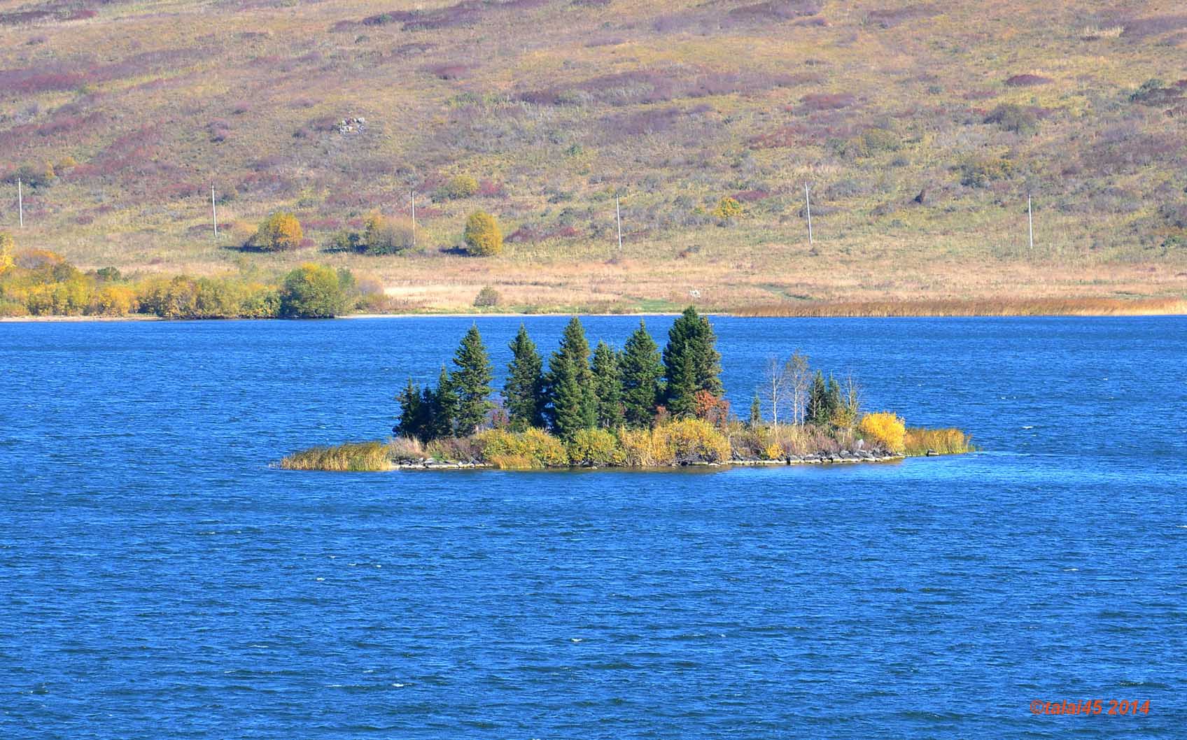 колыванское озеро алтайский край фото